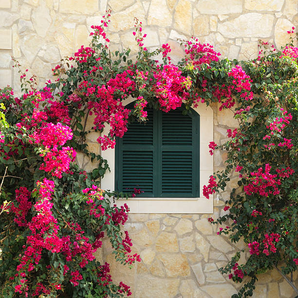 Come scegliere i rivestimenti esterni per decorare la casa