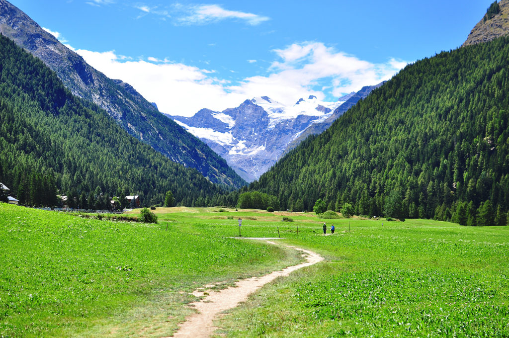 Gran Paradiso: la Fondazione festeggia i vent’anni