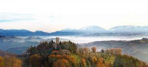 Forest Bathing: immergersi nei boschi per curarsi dallo stress