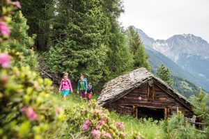 Forest Bathing: immergersi nei boschi per curarsi dallo stress