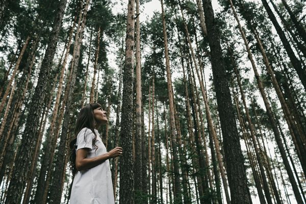 Forest Bathing: immergersi nei boschi per curarsi dallo stress