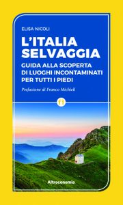 Letture estive: i suggerimenti del numero di luglio