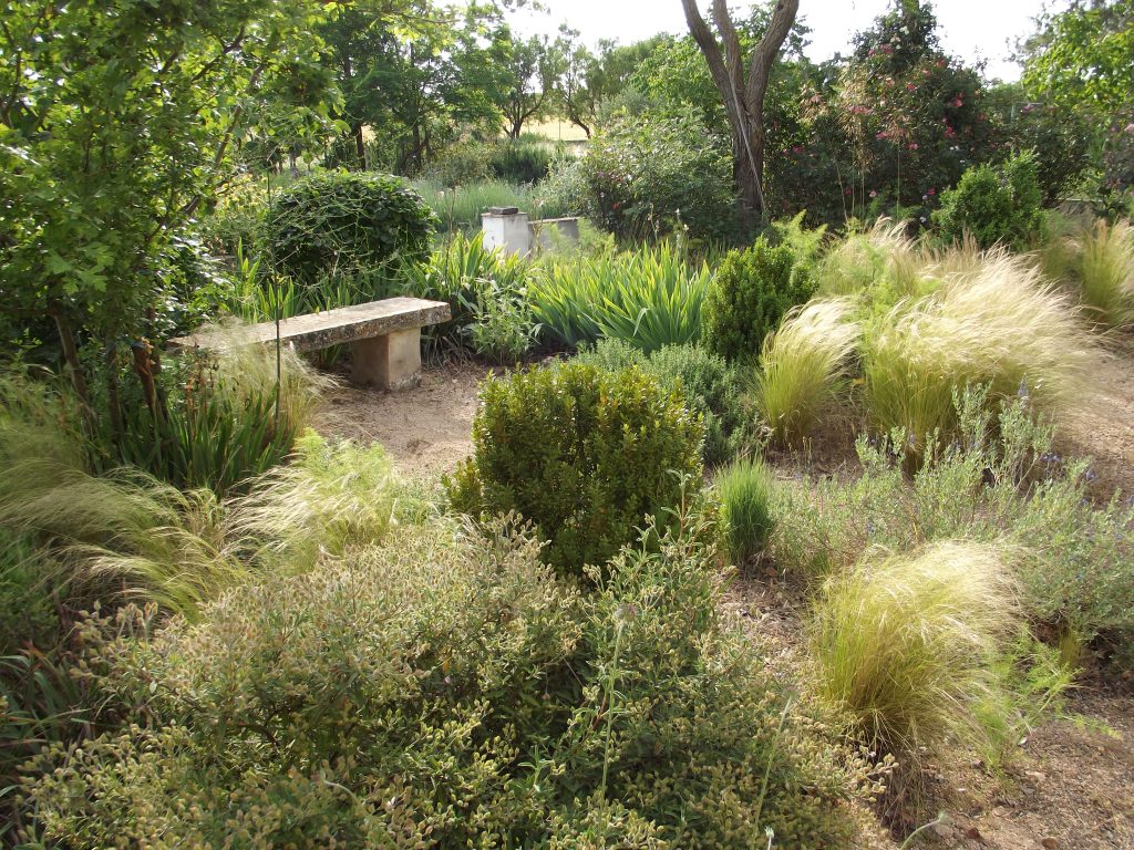 Aridocoltura, per un giardino sostenibile