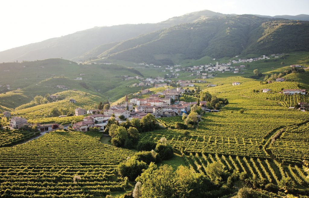 Una passeggiata tra le colline del Prosecco