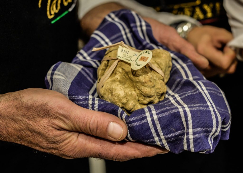 Fra arte ed enogastronomia, torna ad Alba la Fiera Internazionale del Tartufo Bianco