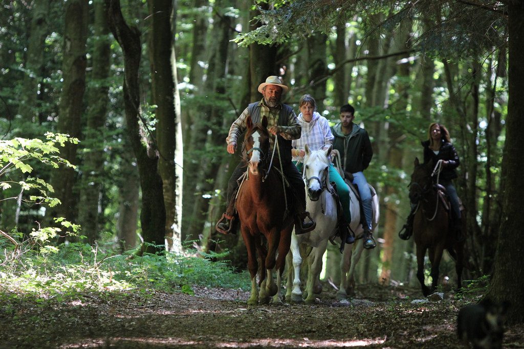 Una vacanza a cavallo: passeggiate in sella per un autunno nella natura