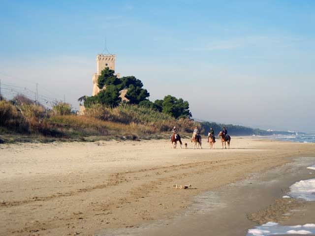 Una vacanza a cavallo: passeggiate in sella per un autunno nella natura