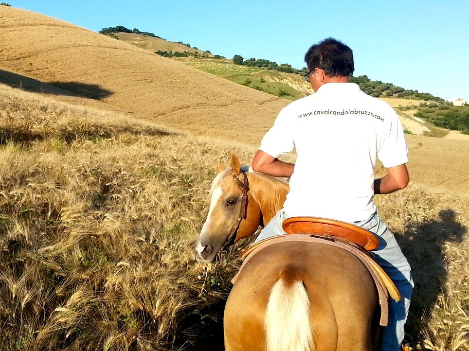 Una vacanza a cavallo: passeggiate in sella per un autunno nella natura