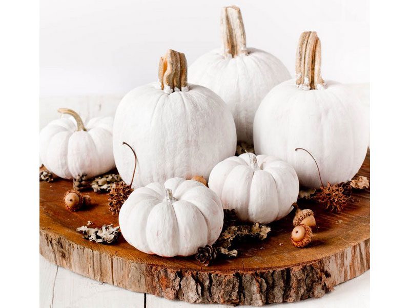 Halloween: dalla zucca al gotico, come decorare la tavola