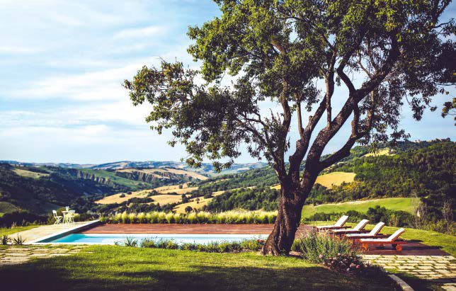 Spontaneo con brio: un giardino con vista sui colli di Urbino