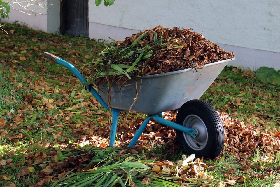 Giardinaggio autunnale: come prepararsi all’inverno