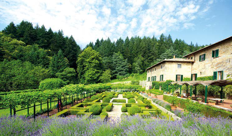 Territorio del Chianti: un mare di vigneti