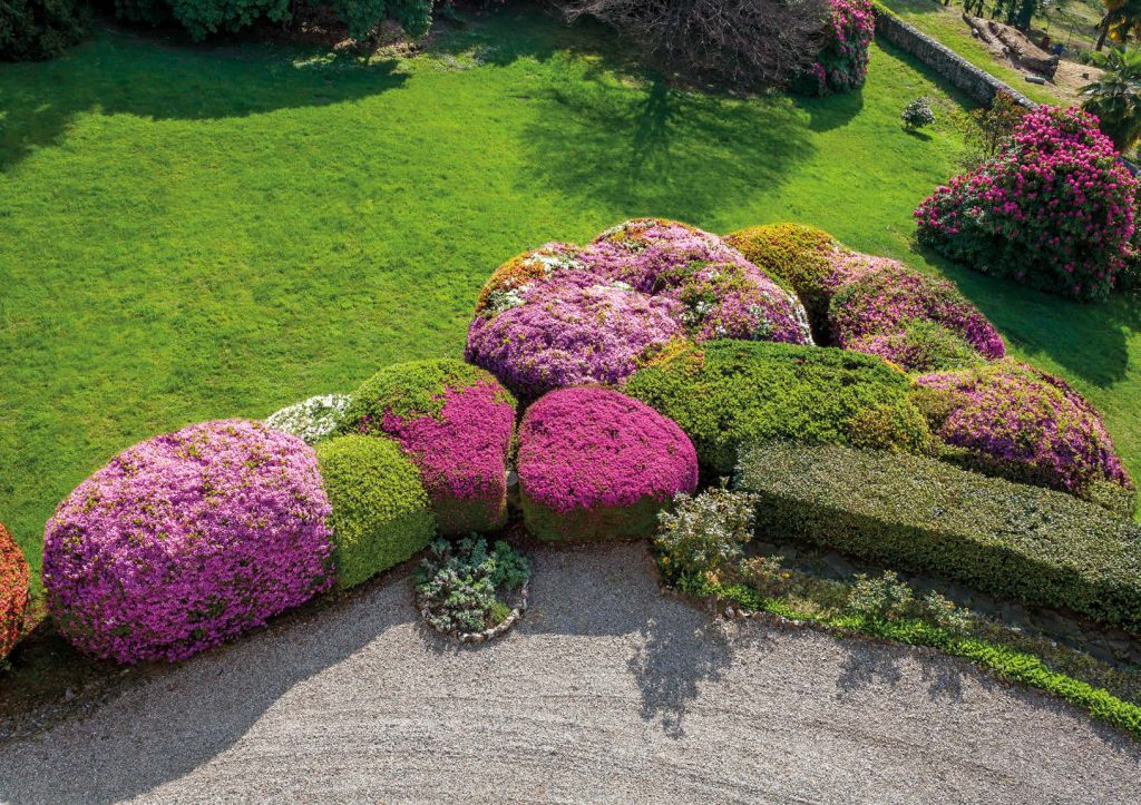 i nuovi colori di un giardino antico anni 20 riqualificato