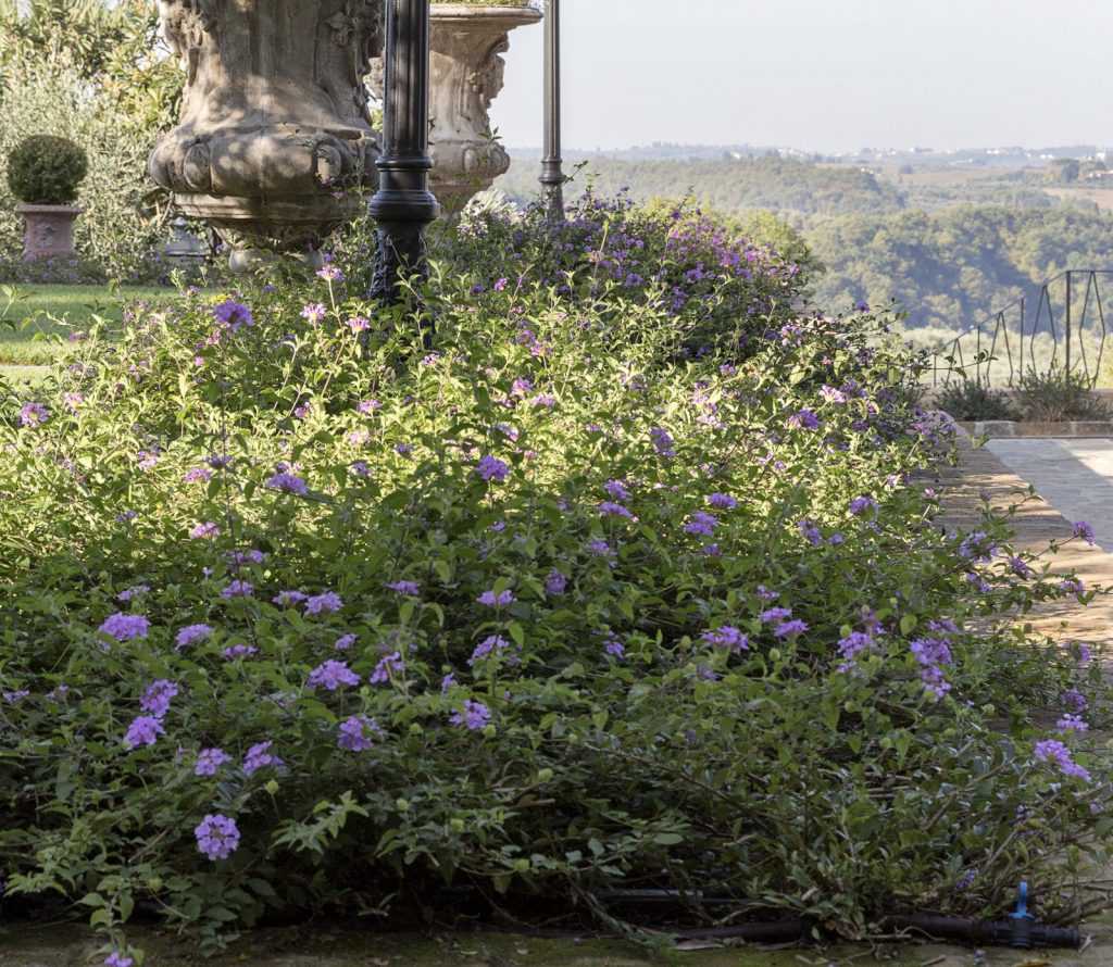 La formalità del giardino all’italiana