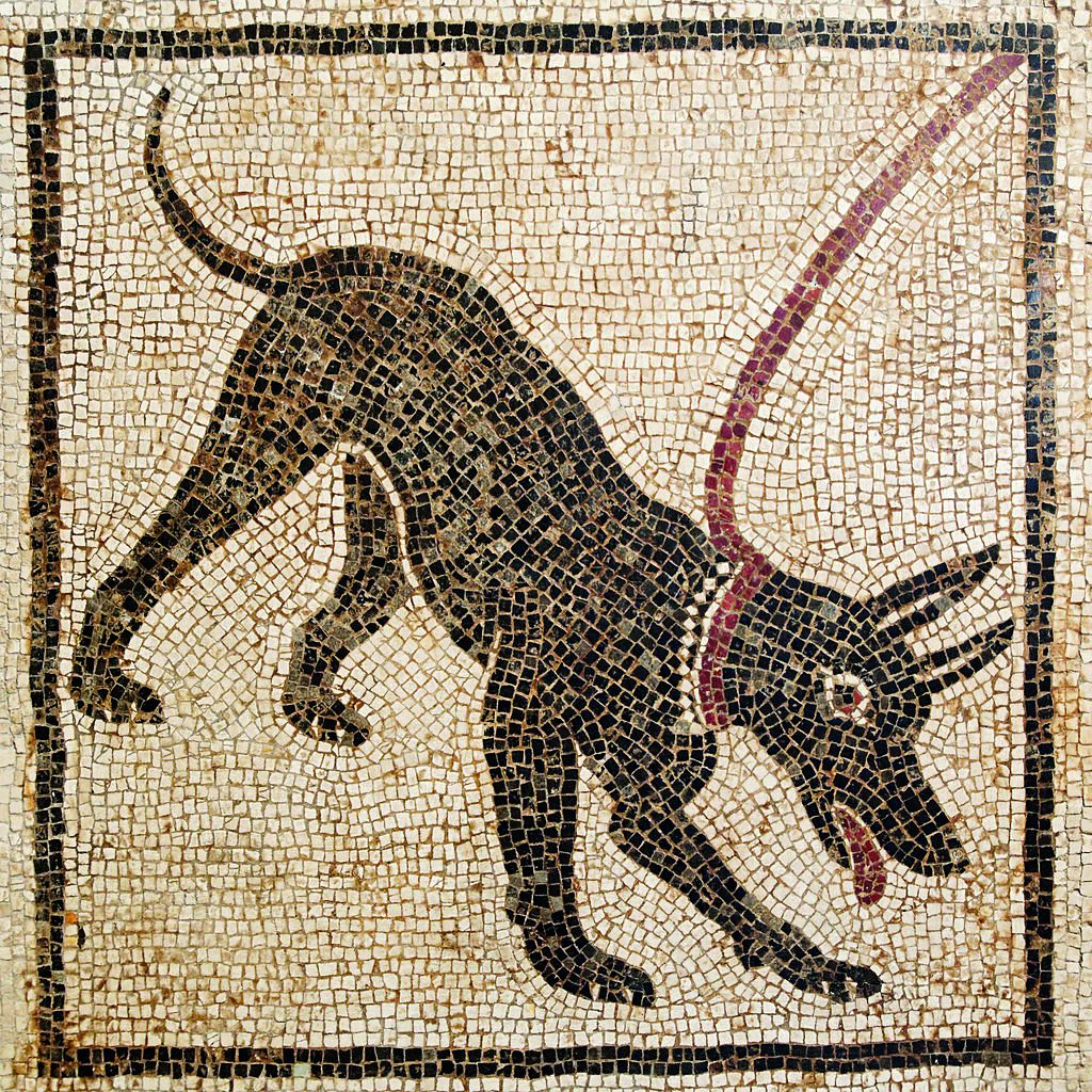 Arte Romana, cave Canem. Napoli, Museo Nazionale