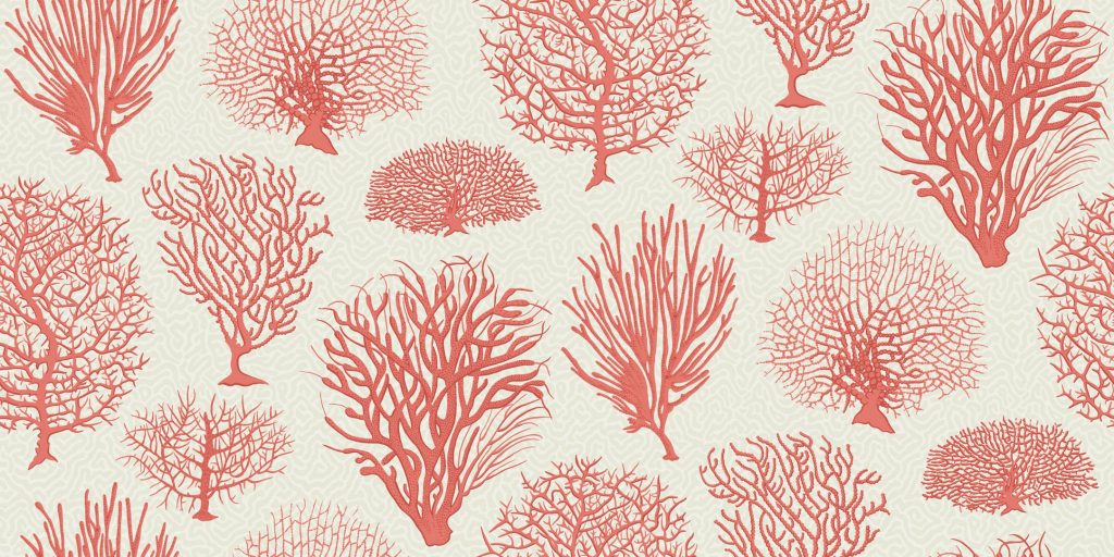 Vivace, delicato e autentico: è il corallo il colore del 2019
