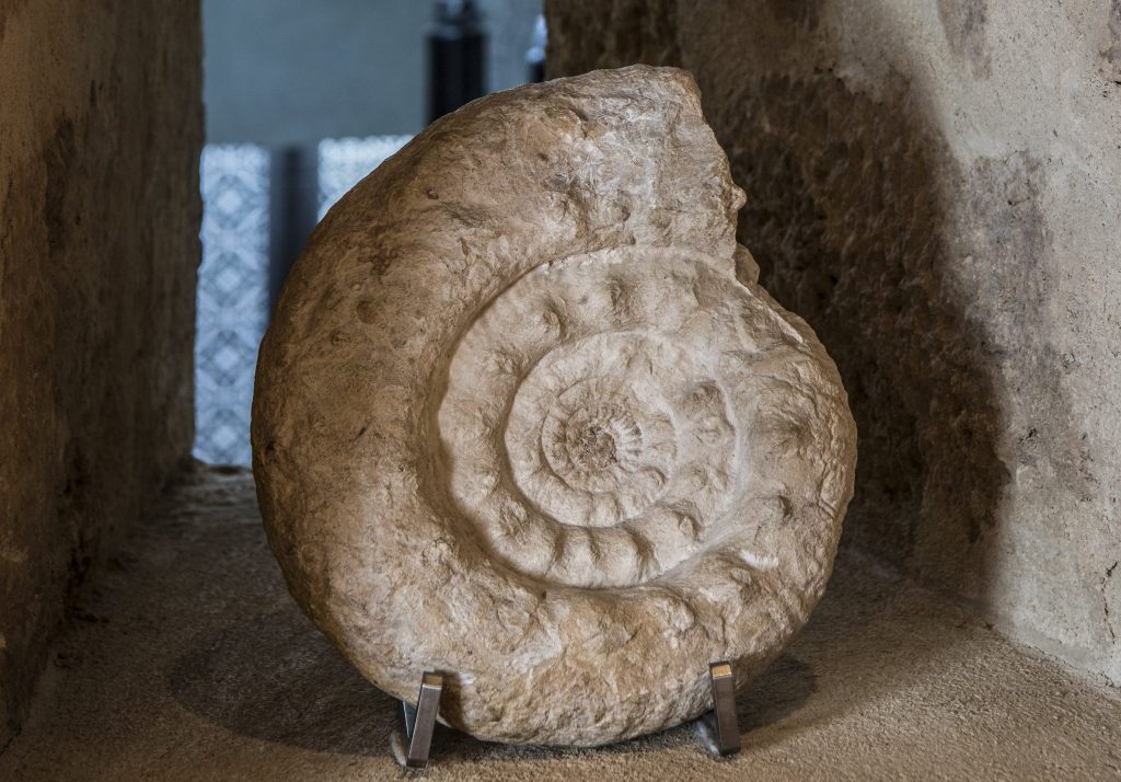 Vivere in una torre sull’orma dei Templari