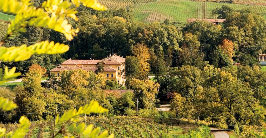 Pinot Nero, sangue blu dell'Oltrepò Pavese