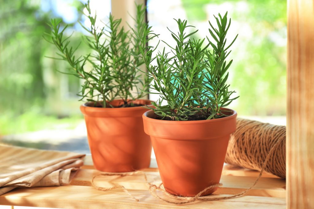 iStock 899174382