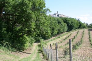 Viaggio nel cuore dell’Umbria: da Spoleto a Torgiano