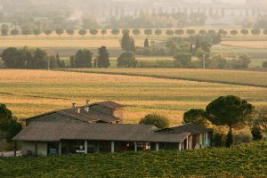 Viaggio nel cuore dell’Umbria: da Spoleto a Torgiano