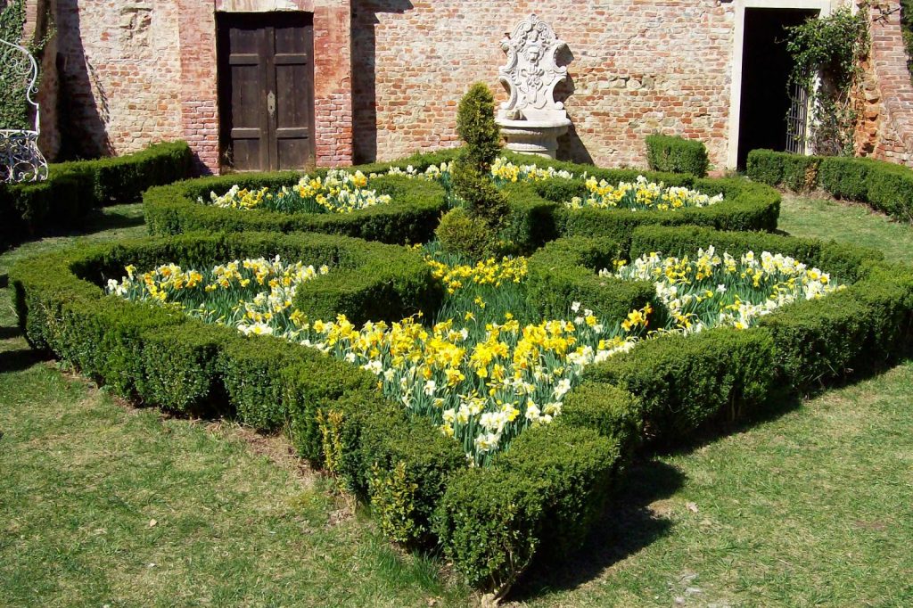 Quarantamila fiori per celebrare la primavera: arriva a Piea il "Narciso incantato"