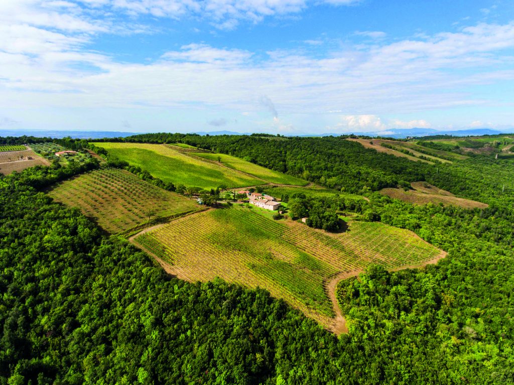 Carpineto stupisce di nuovo con il Chianti Classico