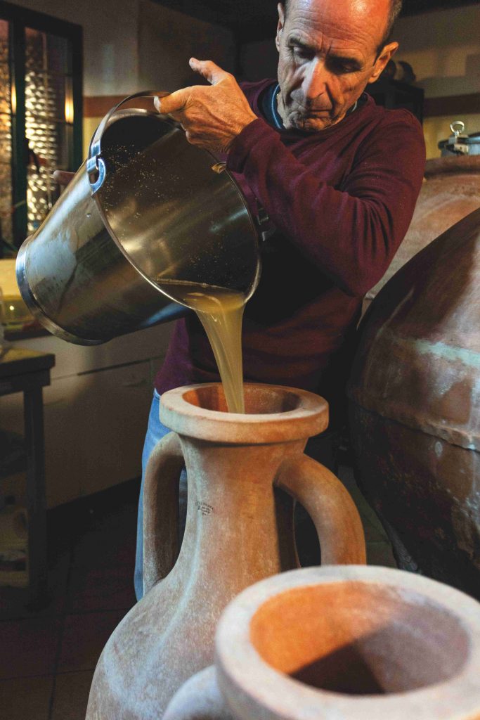 Il vino in anfora che piaceva a Napoleone torna nella cantina Arrighi