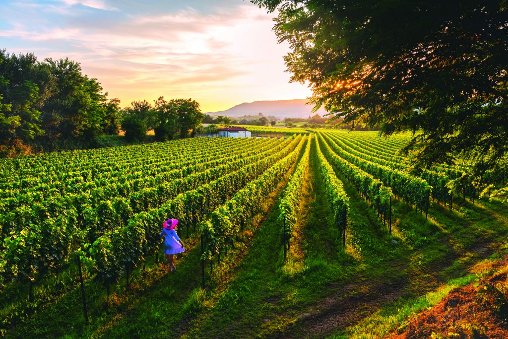 Le superbe bollicine Franciacorta, vanto del made in Italy