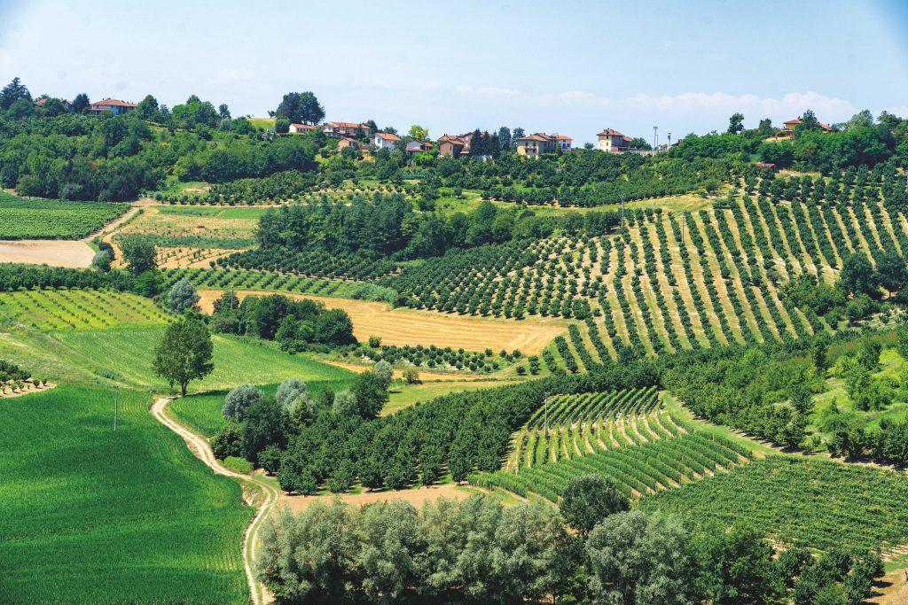 Nel mercato immobiliare del Monferrato, le vigne inebriano gli stranieri