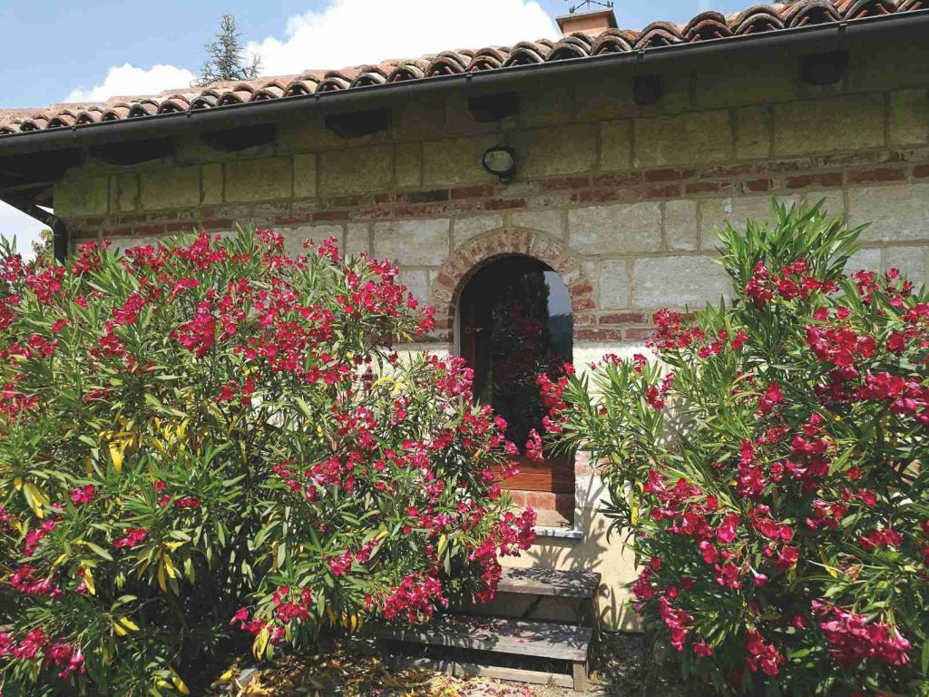 Il Cascinale delle Rose Antiche nel Monferrato