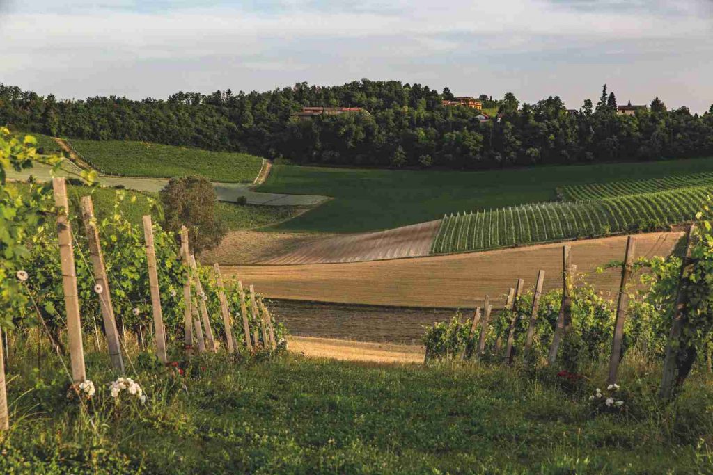 Cascina Spinerola, un'oasi silenziosa nella natura del Monferrato