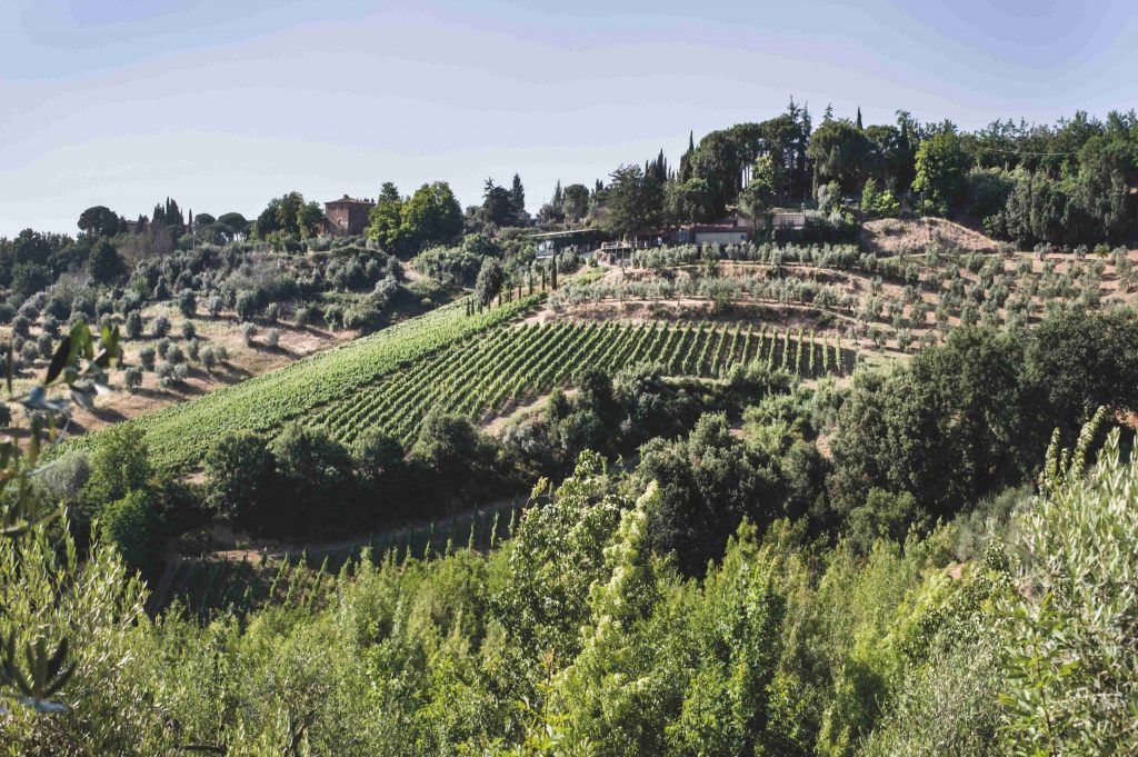 I “Tuscan Colors”, arcobaleno del vino firmato "I Balzini"