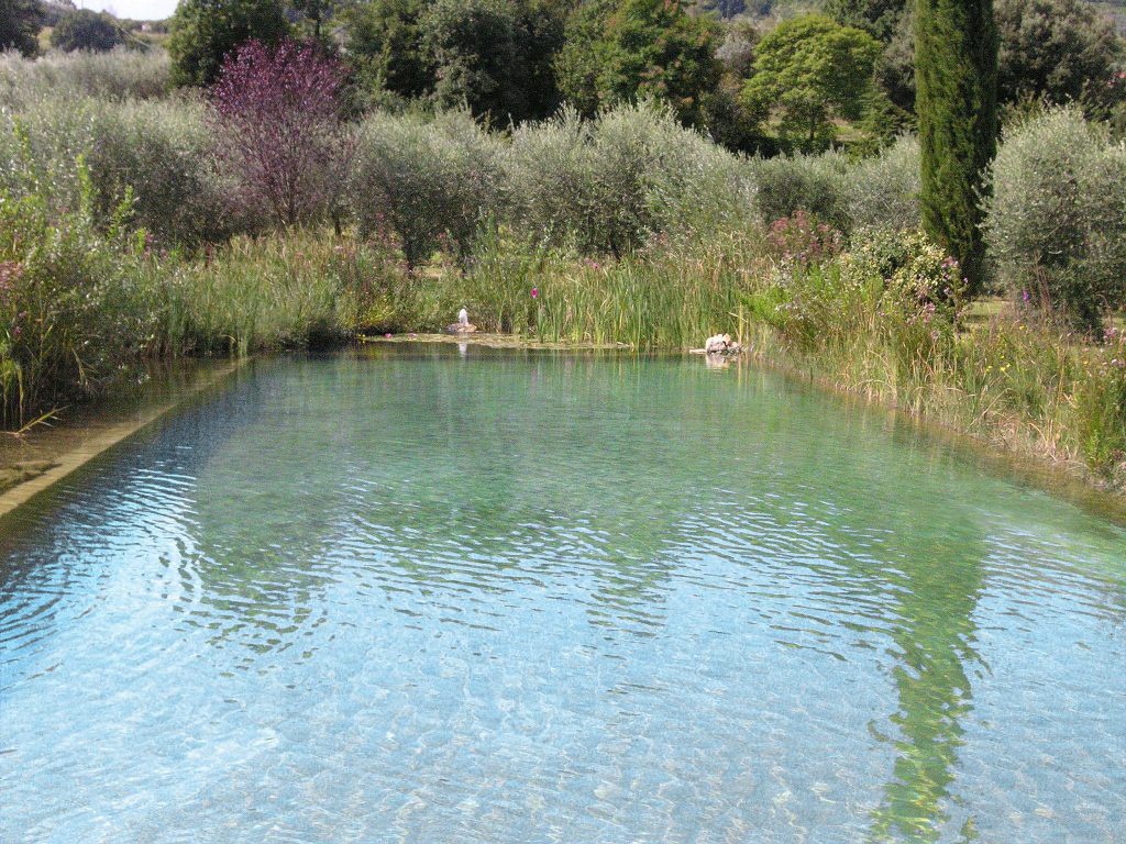 Oltre la piscina. Nuotare in un biolago