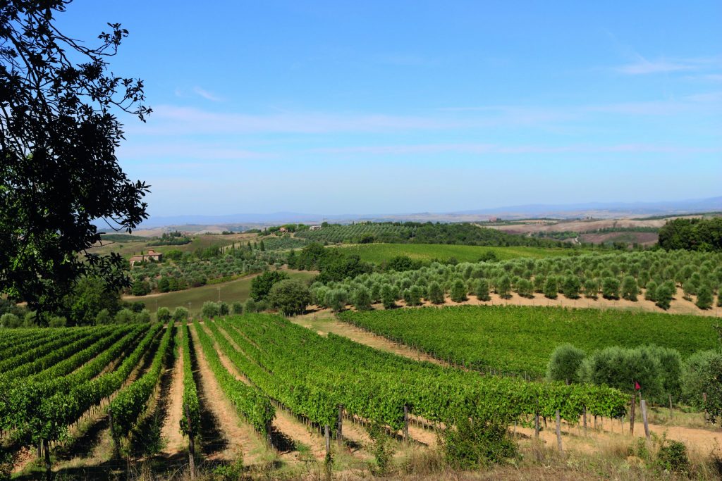 Le eccellenze della Val d'Orcia