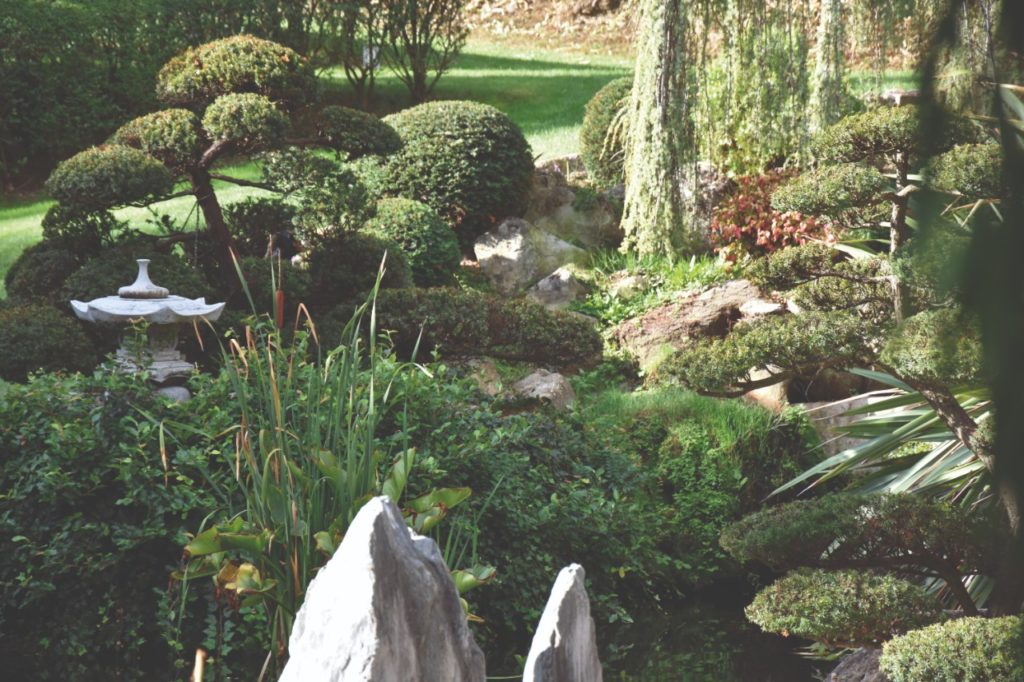un giardino zen giapponese: arredo nel cuore dell'Umbria