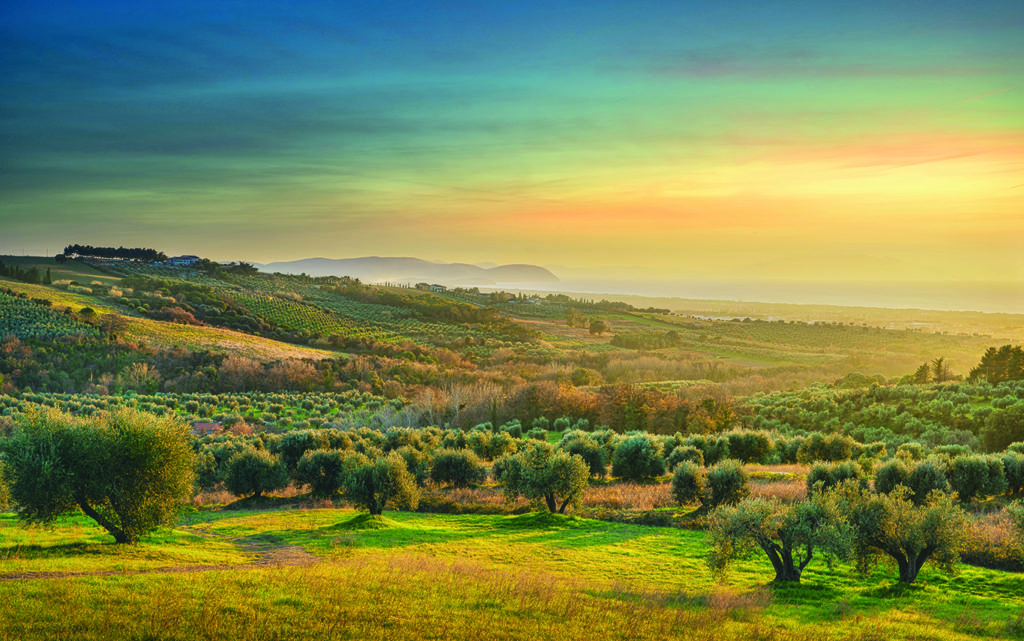 Maremma: meta ideale per il turismo 2020. Volano le richieste di ville in affitto e in vendita