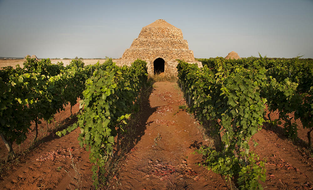 Tra le Torri del Primitivo di Manduria: l'estate pugliese da vivere tra cultura e degustazioni Doc