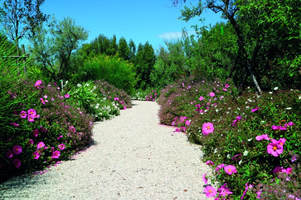 Il giardino del futuro