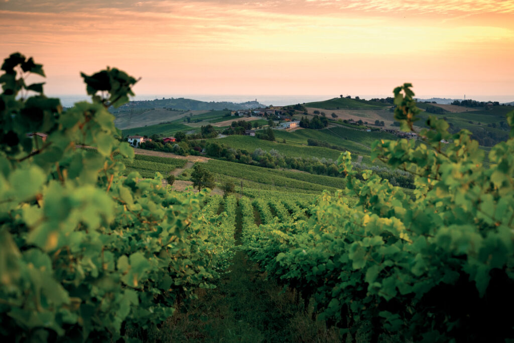 Oltrepò Pavese, vigne, borghi e sapori nella ‘Toscana di Lombardia’