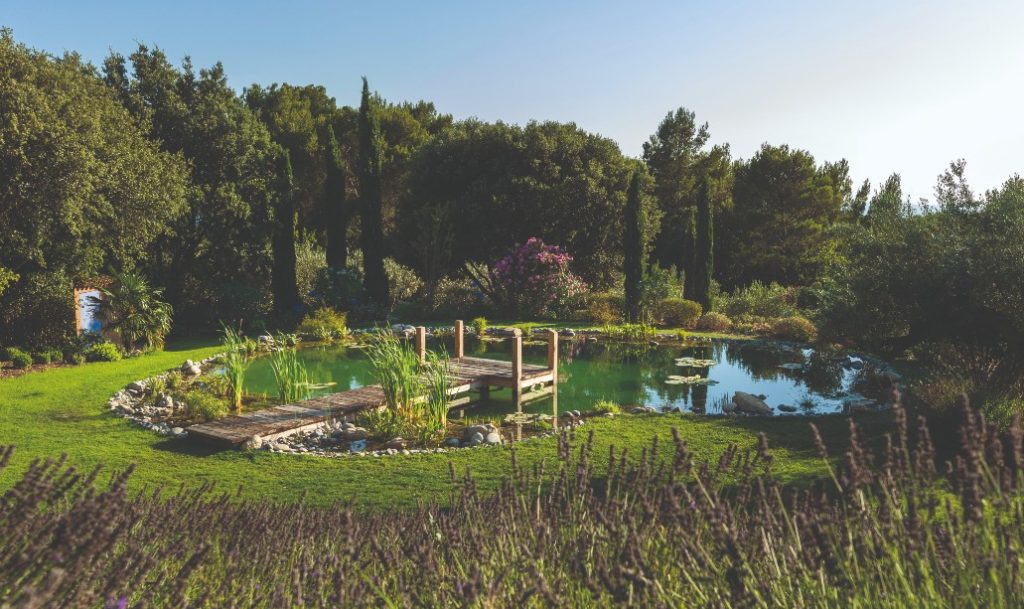 Un giardino provenziale immerso nella natura