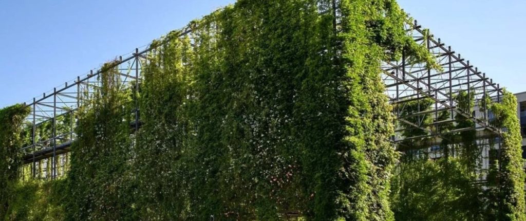 Il giardino verticale, nuova frontiera del verde