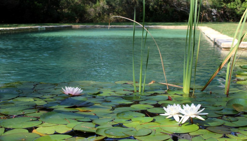 Un bagno di natura