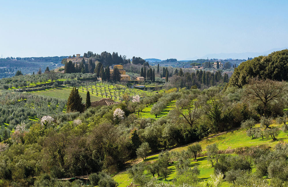 Il rinascimento del Chianti classico