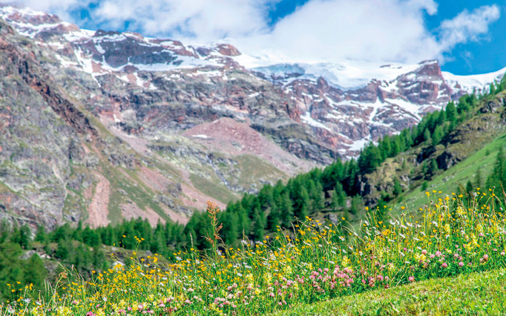 Sport, relax e cultura alpina