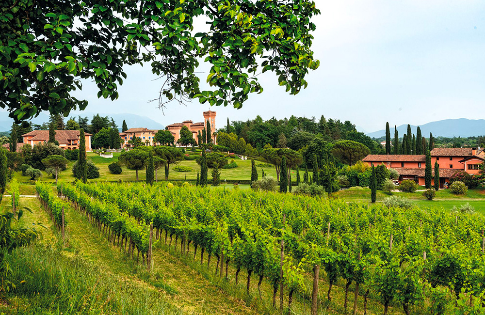 Crescono le bollicine del Castello di Spessa