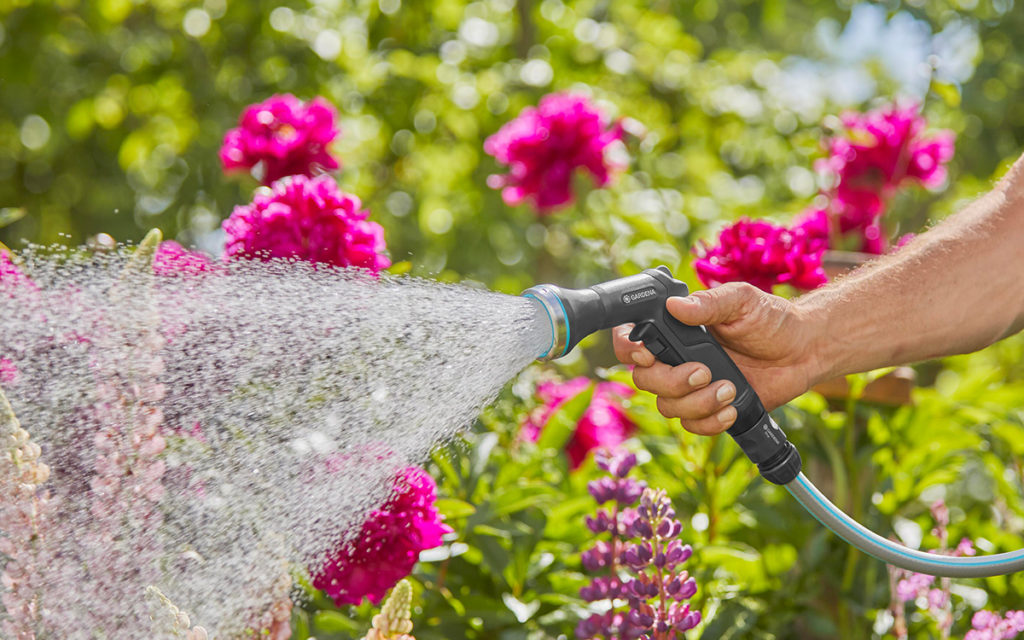 Giardinaggio sostenibile, una scelta naturale