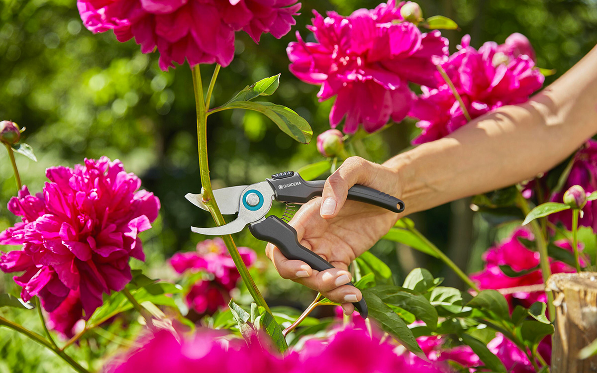 Attrezzi per un giardinaggio sostenibile