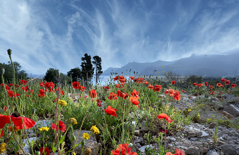 Il fascino della natura incanta i registi