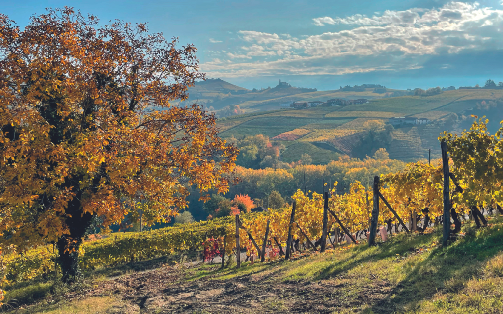 Langhe Roero Monferrato meta mondiale del “bleisure”